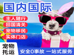 昌北空运地址国际宠物托运 【国